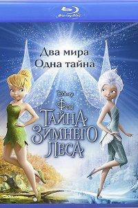 Постер к Феи: Тайна зимнего леса